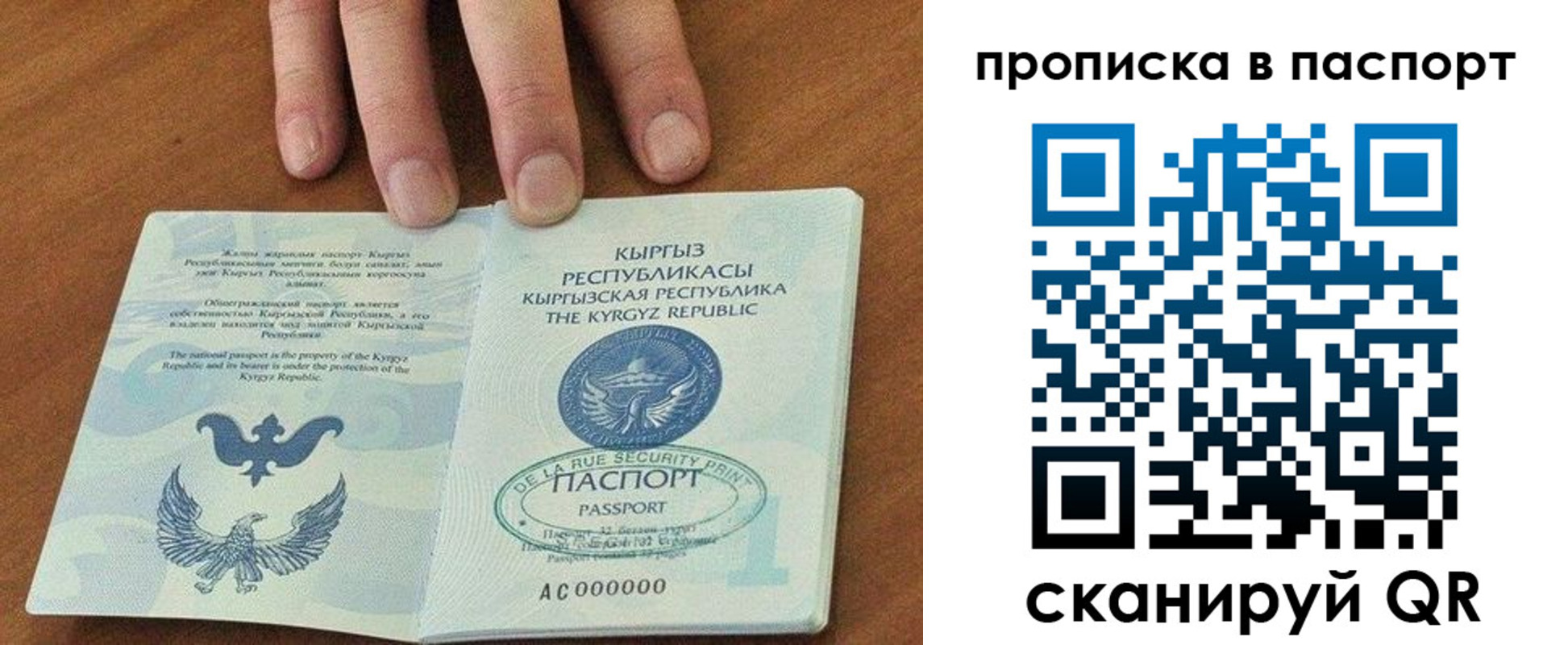 где прописаться в Ивантеевке